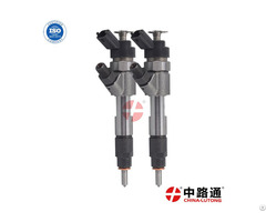 Common Rail Fuel Injector Assembly