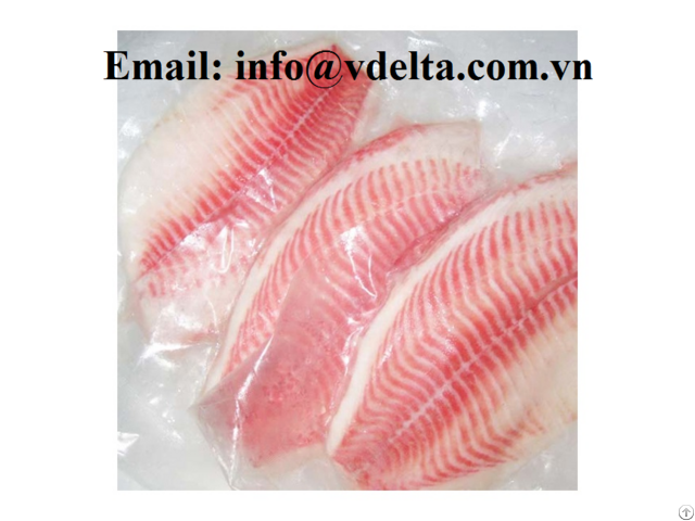 Frozen Red Snapper Fillet