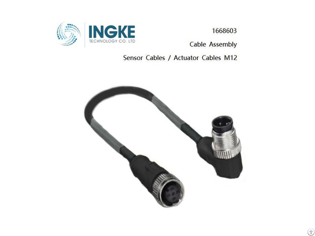 Ingke 1668603 Sensor Actuator Cables M12 Cable Assembly