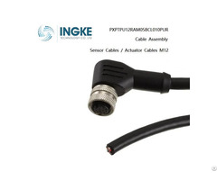 Ingke Pxptpu12ram05bcl010pur Actuator Cable M12