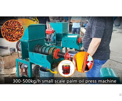 High Efficiency With Small Scale Palm Oil Press Plant