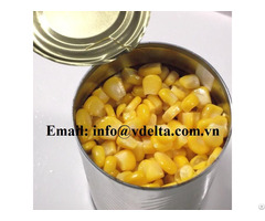 Canned Sweet Corn From Vietnam