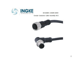 Ingke M12a08fl 12amr Sd001 Cable Assembly M12 Circular Connector Actuator Cables 8position