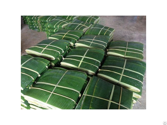 Natural Fresh Frozen Green Banana Leaf From Viet Nam