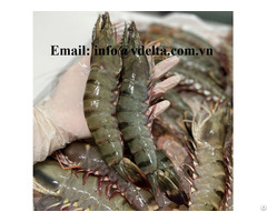 Black Tiger Shrimp Hight Quality From Vietnam