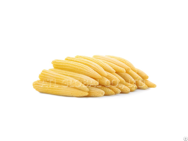 Natural Frozen Baby Corn Fresh Grade Premium From Vietnam