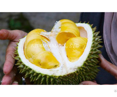 Frozen Durian Cultivation Type Organic