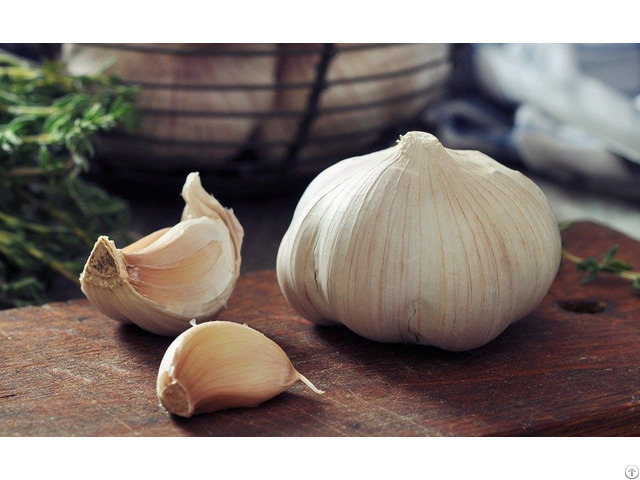 Bulk Supplier Natural Garlic From Viet Nam