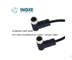 Ingke M12b05mr 12bfr Sba05 M12 Cable Assemblies Sensor Actuator Cables