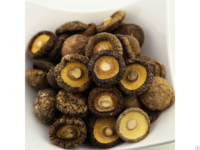 Dried Shiitake Mushroom Hight Quality