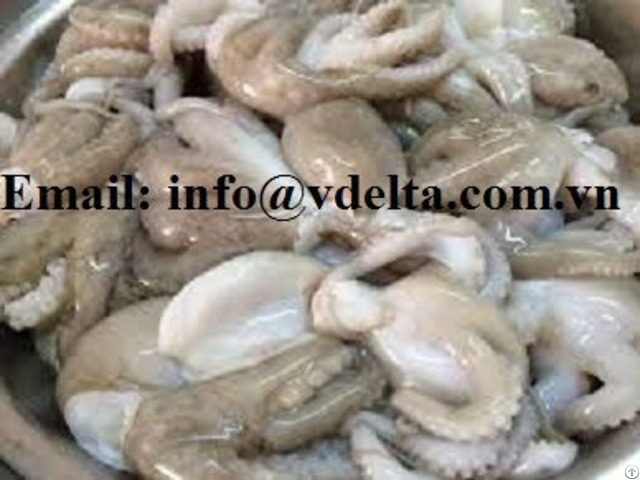 Frozen Octopus Hight Quality