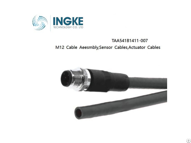 Ingke Taa541b1411 007 M12 Cable Aeesmbly Sensor Actuator Cables