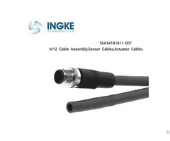 Ingke Taa541b1411 007 M12 Cable Aeesmbly Sensor Actuator Cables