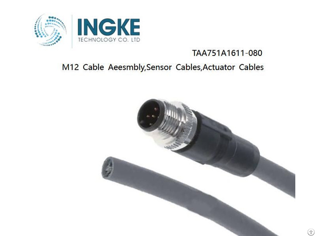 Ingke Taa751a1611 080 M12 Cable Aeesmbly Sensor Actuator Cables