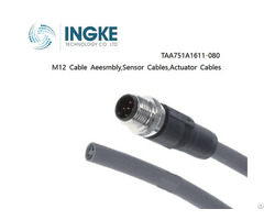 Ingke Taa751a1611 080 M12 Cable Aeesmbly Sensor Actuator Cables