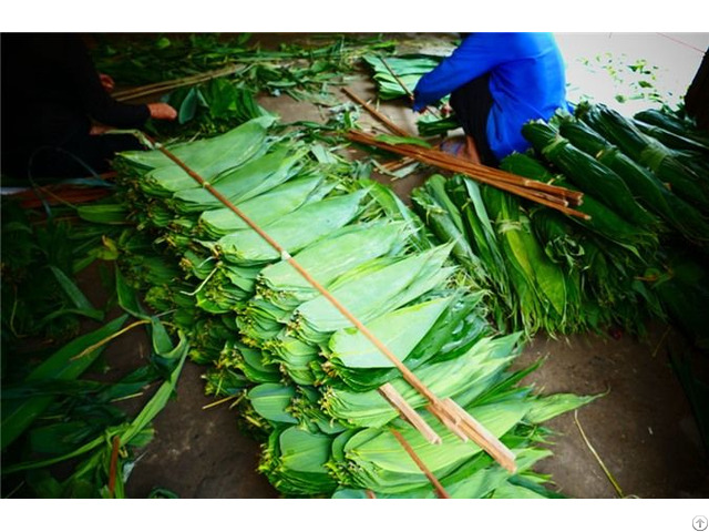 New Product Dried Bamboo Leaves From Viet Nam