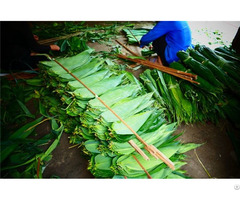 New Product Dried Bamboo Leaves From Viet Nam