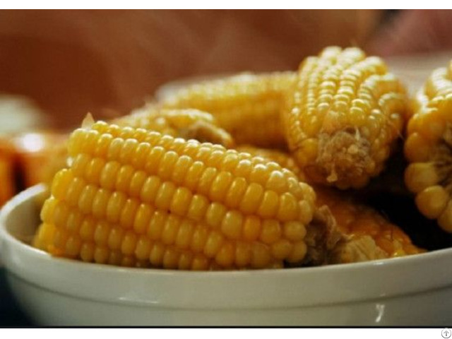 High Quality Frozen Sweet Corn For Exporting From Vietnam