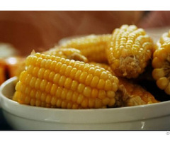 High Quality Frozen Sweet Corn For Exporting From Vietnam