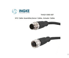 Ingke T4162113003 0077 M12 Cable Assemblies Sensor Actuator Cables