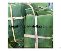 Wholesale 100% Natural Banana Leaf