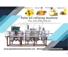 High Efficiency National Certified Palm Vegetable Oil For Hot Sale