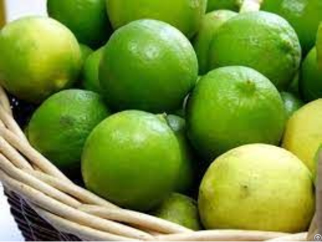 Hight Quality Fresh Lemon From Vietnam