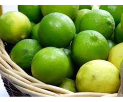 Hight Quality Fresh Lemon From Vietnam