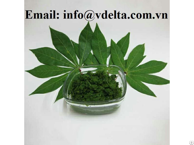 Fresh Cassava Leaf For Food Industry