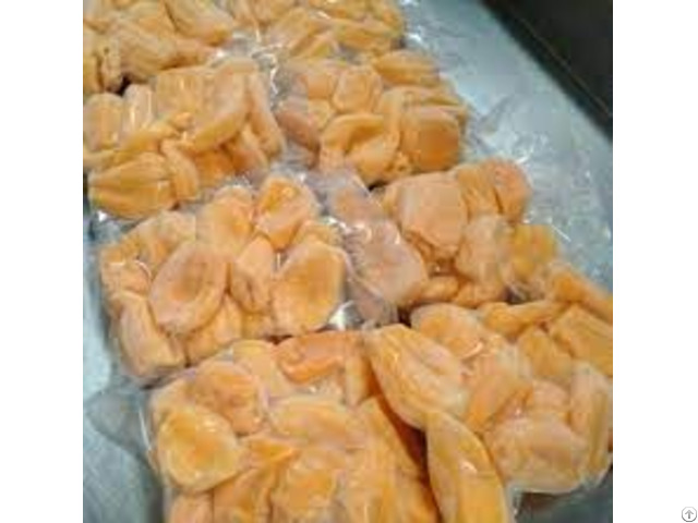 Frozen Jackfruit For Exporting From Viet Nam