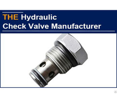 Aak Finished The Order Of Hydraulic Check Valve In 10 Days