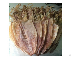 Dried Cuttlefish From Vietnam