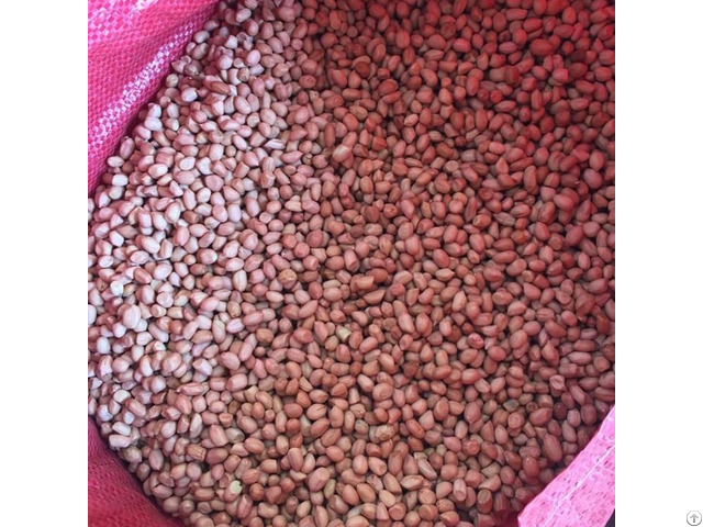 Peanut Kernel From Vietnam