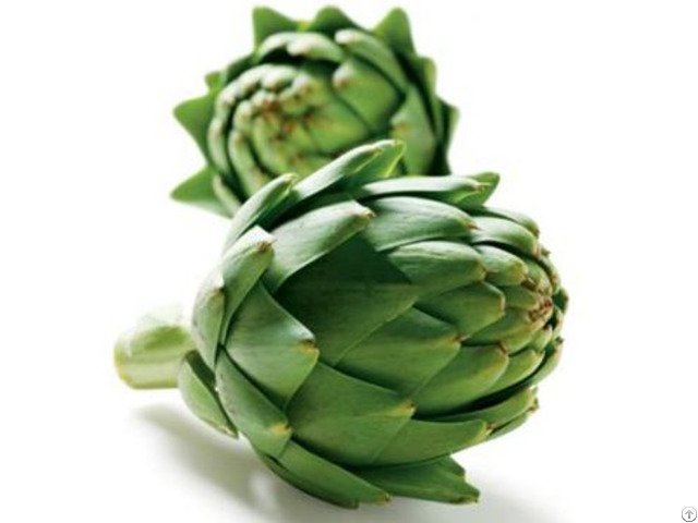 Dried Artichoke With Cheap Price