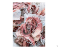 Frozen Octopus Beards Hight Quality