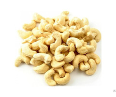 Vietnam Cashew Nuts Hight Quality