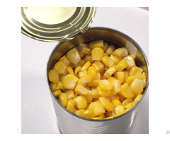 Hight Quality Canned Sweet Corn