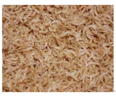 The Lowest Sale Price Dried Baby Shrimp