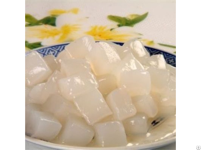 Hight Quality Coconut Jelly From Vietnam