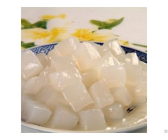Hight Quality Coconut Jelly From Vietnam