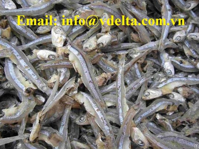 Sun Dried Anchovy With High Quality From Vietnam