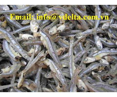 Sun Dried Anchovy With High Quality From Vietnam