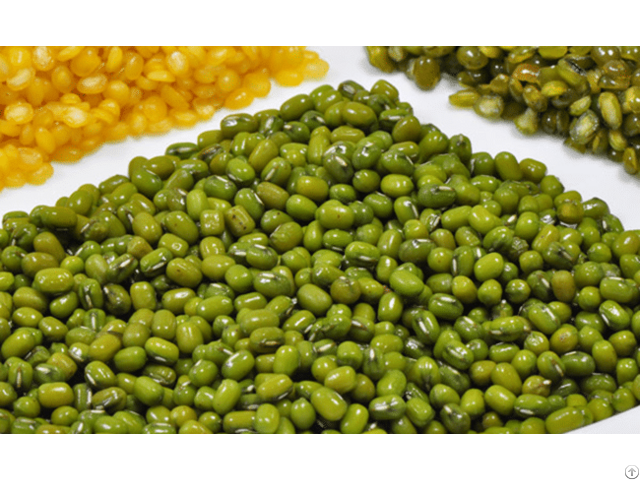 Vietnam Bulk Green Mung Beans