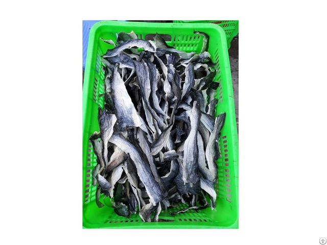 Best Price Dried Pangasius Fish Skin