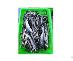 Best Price Dried Pangasius Fish Skin