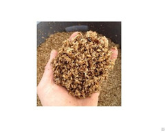 Dried Beer Residue Powder For Cattle Whatsapp 84326837715