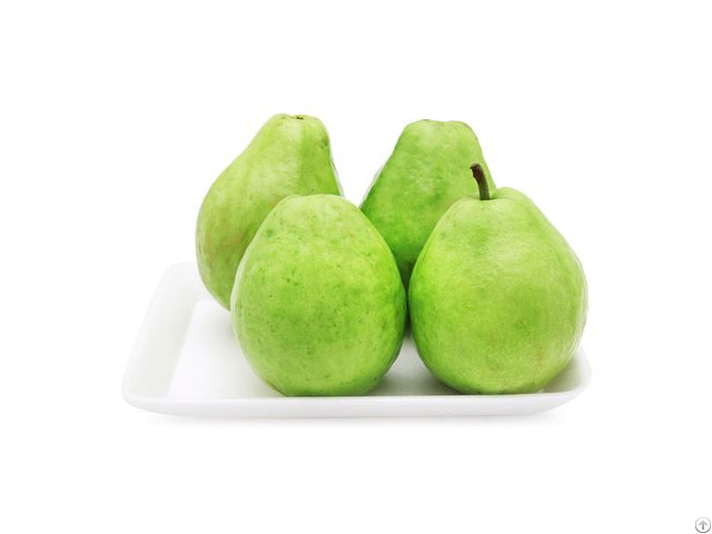 Fresh Guava Exported Quality