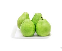 Fresh Guava Exported Quality