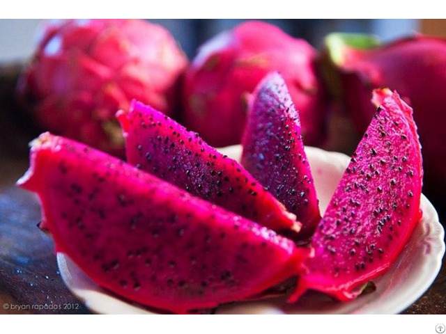 Dragon Fruits From Vietnam