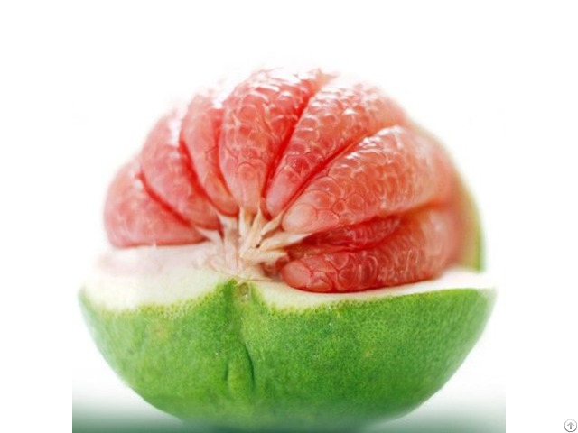 The Fresh Grapefruit